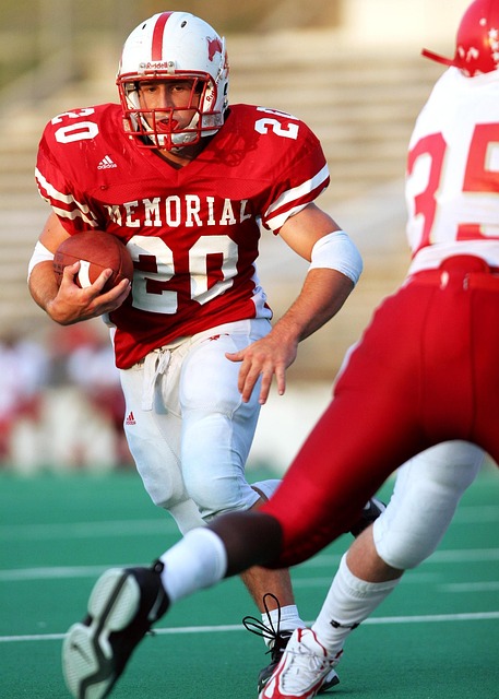 预测的市场 预测的市场